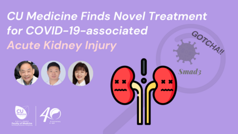 CUHK study sheds light on novel mechanism and treatment of acute kidney injury in COVID-19 patients