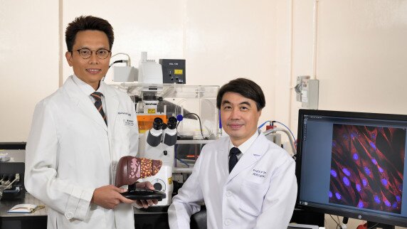CUHK Uncovers a New Strategy to Turn “Cold” Liver Tumour “Hot” Leading to an Effective and Durable Combined Immunotherapy