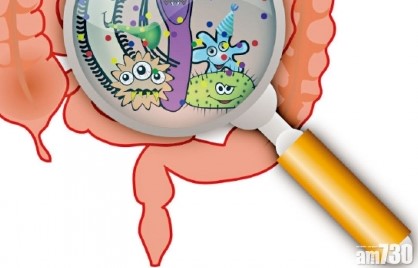醫療新領域：甚麼是益菌？(刊登於 AM730)