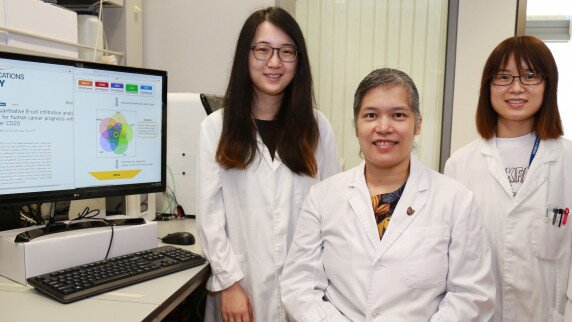 中大医学院团队发现B细胞及基因GPR18可预测多种癌症的存活期