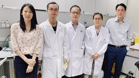 CUHK Study Discovers Brain Circuitry That Generates Behavioural Responses to Stress Provide a Basis for Probing Abnormal Repetitive Behaviour Exhibited in Brain Disorders