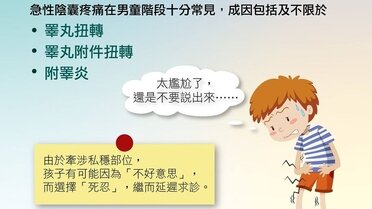 男孩子的「急性陰囊疼痛」(Only available in Chinese)