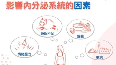 影響內分泌系統的因素