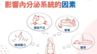 影響內分泌系統的因素