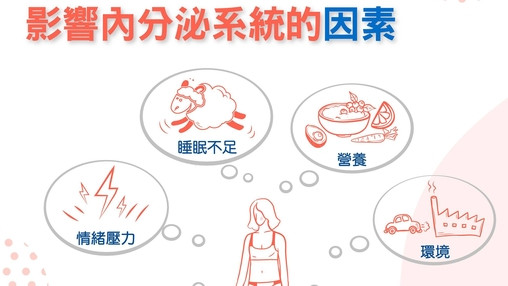 影响内分泌系统的因素