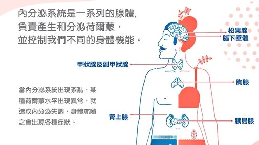 內分泌系統的功能 (Only available in Chinese)