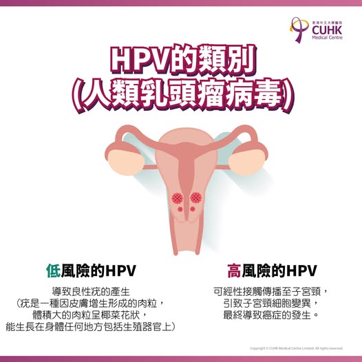 types of hpv