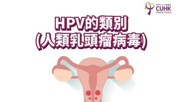 HPV的類別 (Only available in Chinese)