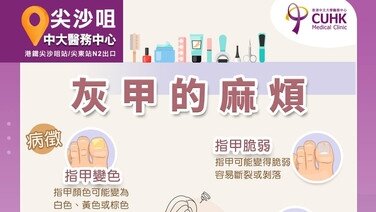 灰甲的麻煩
