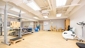 修例通过 物理治疗免转介 卢宠茂：目标年内完成临床指引
