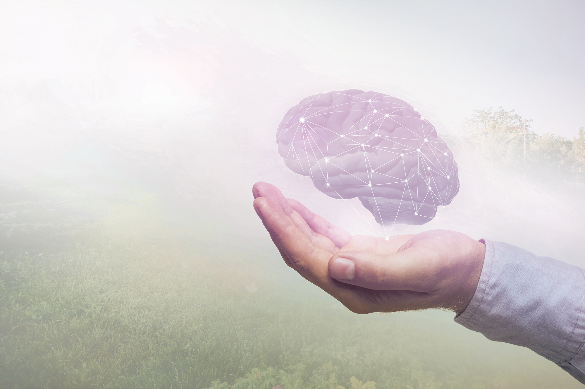 Brain health consultation