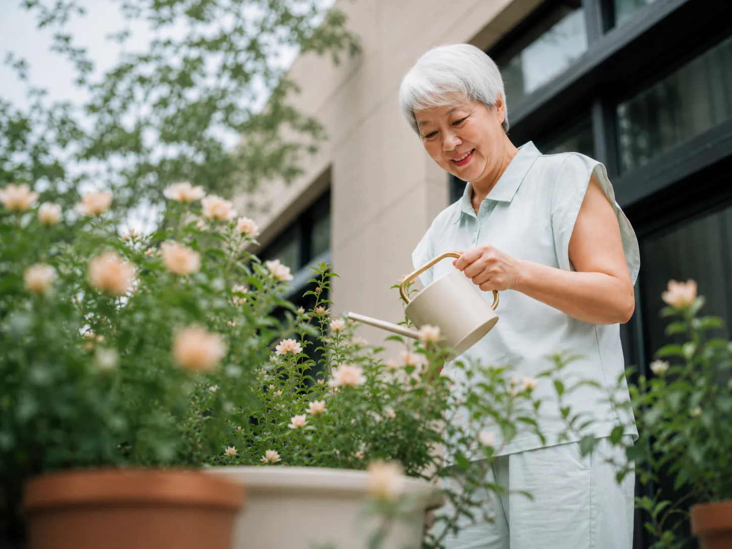 Brain Vitality Programme Subsidy Scheme