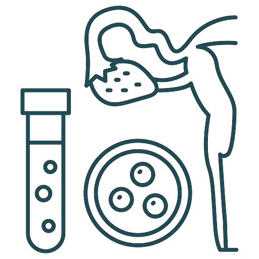 Reproductive Icon